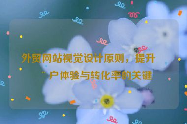 外貿(mào)網(wǎng)站視覺設(shè)計(jì)原則，提升用戶體驗(yàn)與轉(zhuǎn)化率的關(guān)鍵