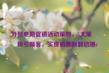 外貿(mào)電商促銷(xiāo)活動(dòng)策劃，5大策略吸引顧客，實(shí)現(xiàn)銷(xiāo)售額翻倍增長(zhǎng)