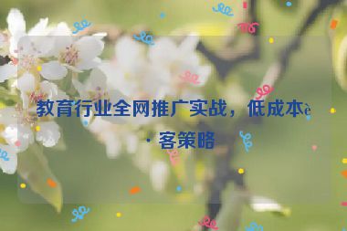 教育行業(yè)全網推廣實戰(zhàn)，低成本獲客策略