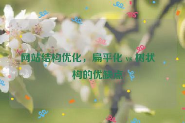 網(wǎng)站結(jié)構(gòu)優(yōu)化，扁平化 vs 樹狀結(jié)構(gòu)的優(yōu)缺點