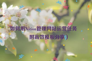 如何用Notion管理網(wǎng)站運(yùn)營(yíng)任務(wù)？附高效模板分享）