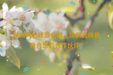 深圳網(wǎng)站建設(shè)公司，如何選擇最適合您的合作伙伴？