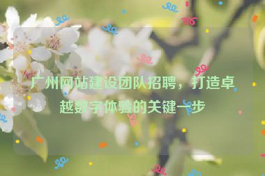 廣州網(wǎng)站建設(shè)團(tuán)隊(duì)招聘，打造卓越數(shù)字體驗(yàn)的關(guān)鍵一步