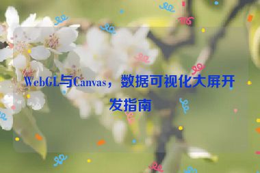 WebGL與Canvas，數(shù)據(jù)可視化大屏開發(fā)指南