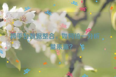 跨平臺數(shù)據(jù)整合，如何統(tǒng)一分析流量來源？