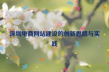 深圳電商網(wǎng)站建設(shè)的創(chuàng)新思路與實(shí)踐
