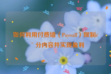 如何利用付費墻（Paywall）限制部分內容并實現(xiàn)盈利