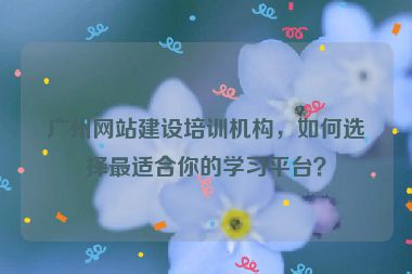 廣州網(wǎng)站建設(shè)培訓(xùn)機(jī)構(gòu)，如何選擇最適合你的學(xué)習(xí)平臺(tái)？