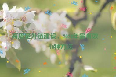 高質量外鏈建設，2024年最有效的10種方法