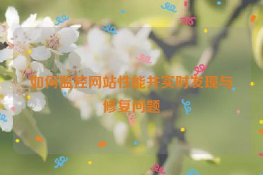 如何監(jiān)控網(wǎng)站性能并實(shí)時發(fā)現(xiàn)與修復(fù)問題