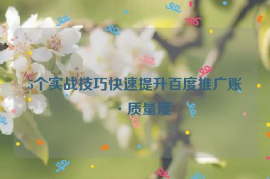 5個(gè)實(shí)戰(zhàn)技巧快速提升百度推廣賬戶質(zhì)量度