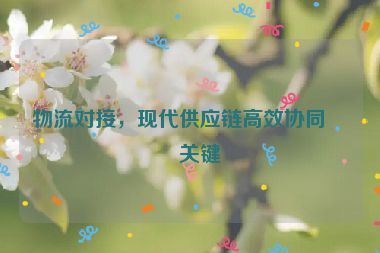 物流對(duì)接，現(xiàn)代供應(yīng)鏈高效協(xié)同的關(guān)鍵