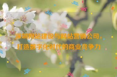 深圳網(wǎng)站建設(shè)與網(wǎng)站營銷公司，打造數(shù)字化時代的商業(yè)競爭力