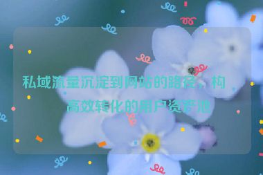 私域流量沉淀到網(wǎng)站的路徑，構(gòu)建高效轉(zhuǎn)化的用戶資產(chǎn)池