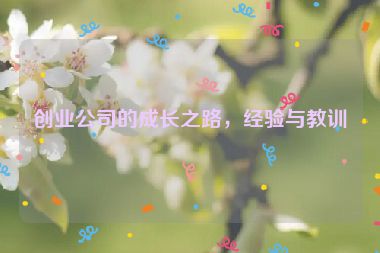 創(chuàng)業(yè)公司的成長之路，經(jīng)驗與教訓(xùn)
