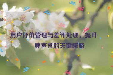 用戶評價(jià)管理與差評處理，提升品牌聲譽(yù)的關(guān)鍵策略
