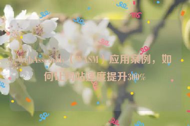 WebAssembly（WASM）應(yīng)用案例，如何讓網(wǎng)站速度提升300%
