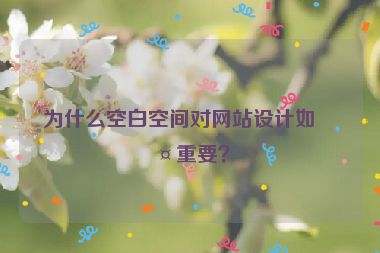 為什么空白空間對網站設計如此重要？