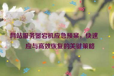 網(wǎng)站服務(wù)器宕機(jī)應(yīng)急預(yù)案，快速響應(yīng)與高效恢復(fù)的關(guān)鍵策略