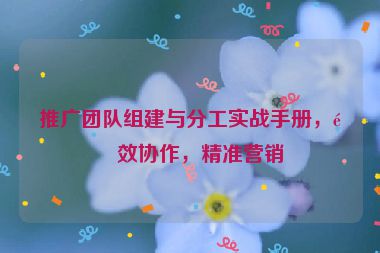 推廣團隊組建與分工實戰(zhàn)手冊，高效協作，精準營銷