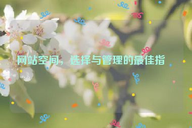 網(wǎng)站空間，選擇與管理的最佳指南