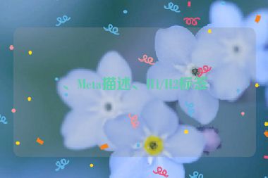 、Meta描述、H1/H2標簽