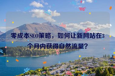 零成本SEO策略，如何讓新網(wǎng)站在3個月內(nèi)獲得自然流量？