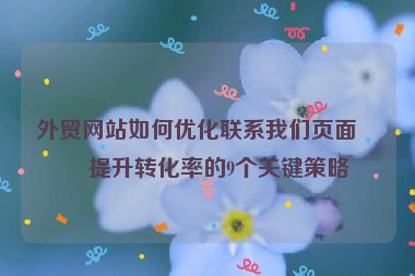外貿(mào)網(wǎng)站如何優(yōu)化聯(lián)系我們頁(yè)面？提升轉(zhuǎn)化率的9個(gè)關(guān)鍵策略