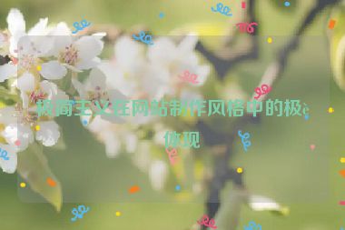 極簡(jiǎn)主義在網(wǎng)站制作風(fēng)格中的極致體現(xiàn)
