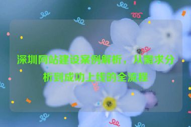深圳網(wǎng)站建設(shè)案例解析，從需求分析到成功上線的全流程