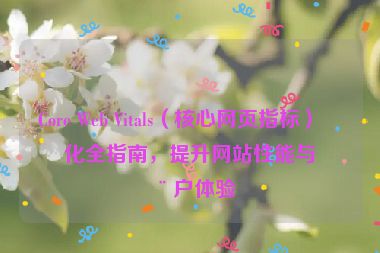 Core Web Vitals（核心網(wǎng)頁指標(biāo)）優(yōu)化全指南，提升網(wǎng)站性能與用戶體驗