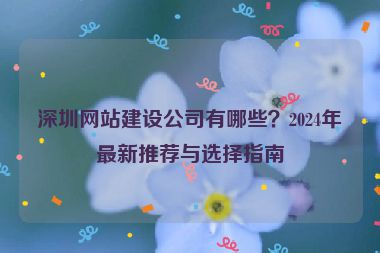 深圳網(wǎng)站建設(shè)公司有哪些？2024年最新推薦與選擇指南