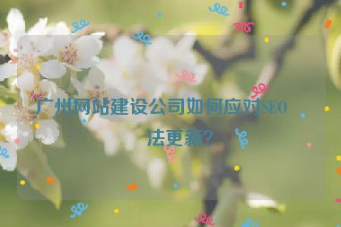 廣州網(wǎng)站建設(shè)公司如何應(yīng)對(duì)SEO算法更新？