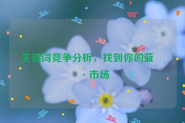 關(guān)鍵詞競爭分析，找到你的藍(lán)海市場