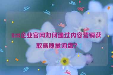 B2B企業(yè)官網(wǎng)如何通過內(nèi)容營銷獲取高質(zhì)量詢盤？