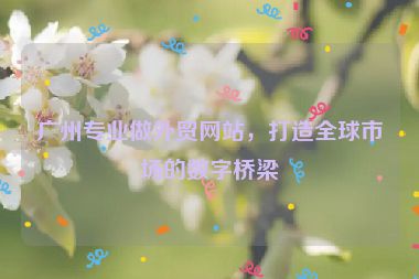 廣州專業(yè)做外貿(mào)網(wǎng)站，打造全球市場的數(shù)字橋梁