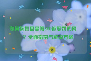 如何恢復(fù)因黑帽SEO被懲罰的網(wǎng)站？全面指南與解決方案