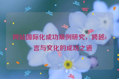 網(wǎng)站國際化成功案例研究，跨越語言與文化的成功之道