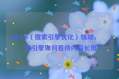 在SEO（搜索引擎優(yōu)化）領(lǐng)域，搜索引擎如何看待內(nèi)容長度？