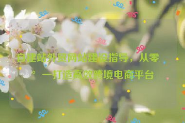 自建站外貿(mào)網(wǎng)站建設(shè)指導(dǎo)，從零到一打造高效跨境電商平臺