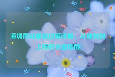 深圳網(wǎng)站建設(shè)過(guò)程詳解，從規(guī)劃到上線的全面指南
