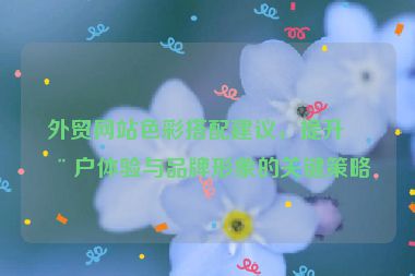 外貿(mào)網(wǎng)站色彩搭配建議，提升用戶體驗與品牌形象的關(guān)鍵策略