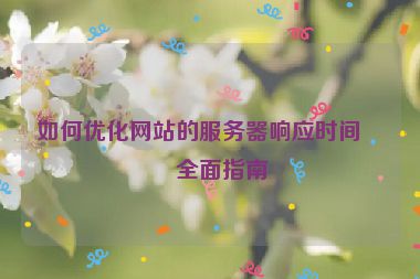如何優(yōu)化網(wǎng)站的服務(wù)器響應(yīng)時(shí)間，全面指南