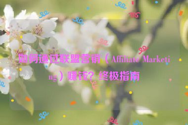 如何通過聯(lián)盟營銷（Affiliate Marketing）賺錢？終極指南