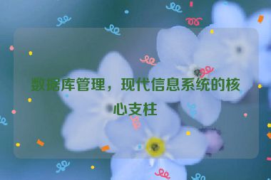數(shù)據(jù)庫管理，現(xiàn)代信息系統(tǒng)的核心支柱