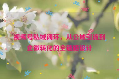 視頻號(hào)私域閉環(huán)，從公域引流到企微轉(zhuǎn)化的全鏈路設(shè)計(jì)