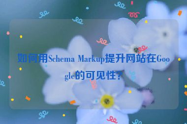 如何用Schema Markup提升網(wǎng)站在Google的可見性？