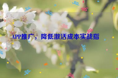 APP推廣，降低激活成本實(shí)戰(zhàn)指南