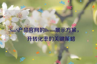 SaaS產(chǎn)品官網(wǎng)的Demo展示方案，提升轉化率的關鍵策略