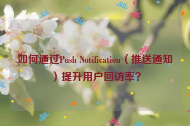 如何通過Push Notification（推送通知）提升用戶回訪率？